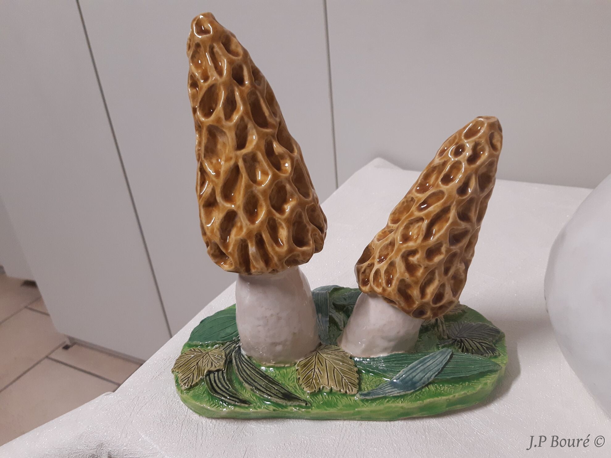 Image de couverture (Morilles miel)