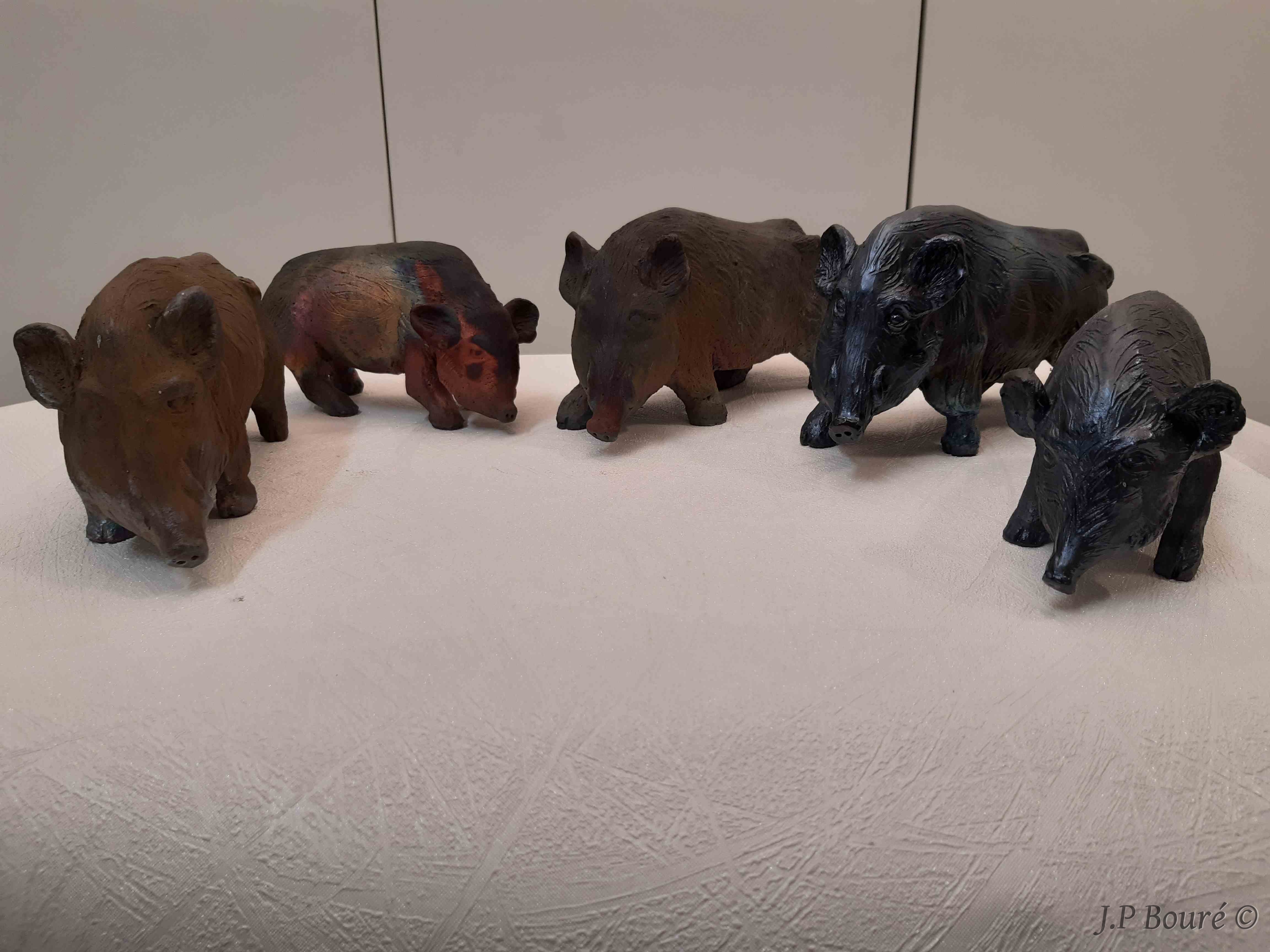 Image de couverture (Salut la compagnie)