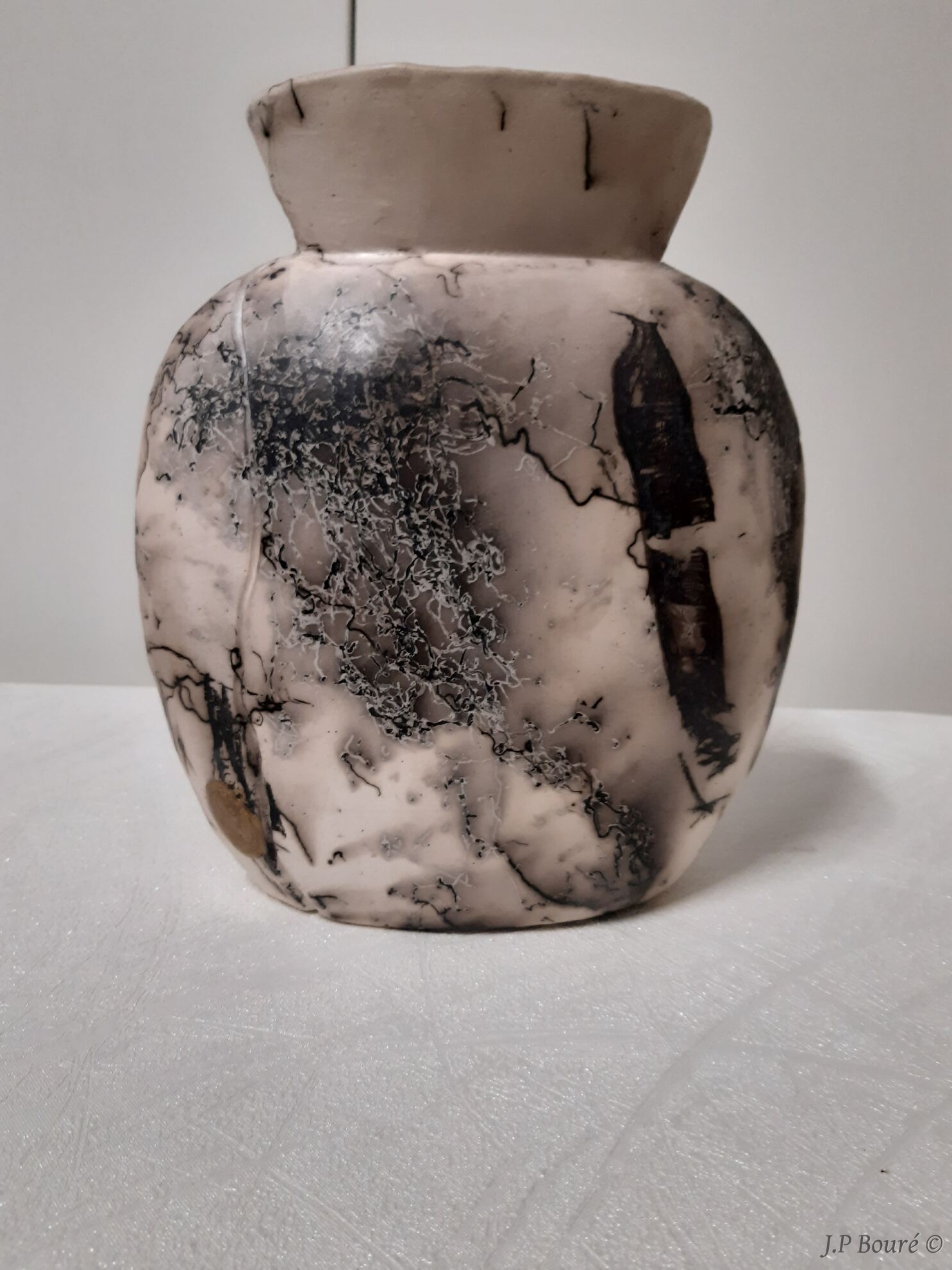 Image de couverture (Vase crins de cheval)