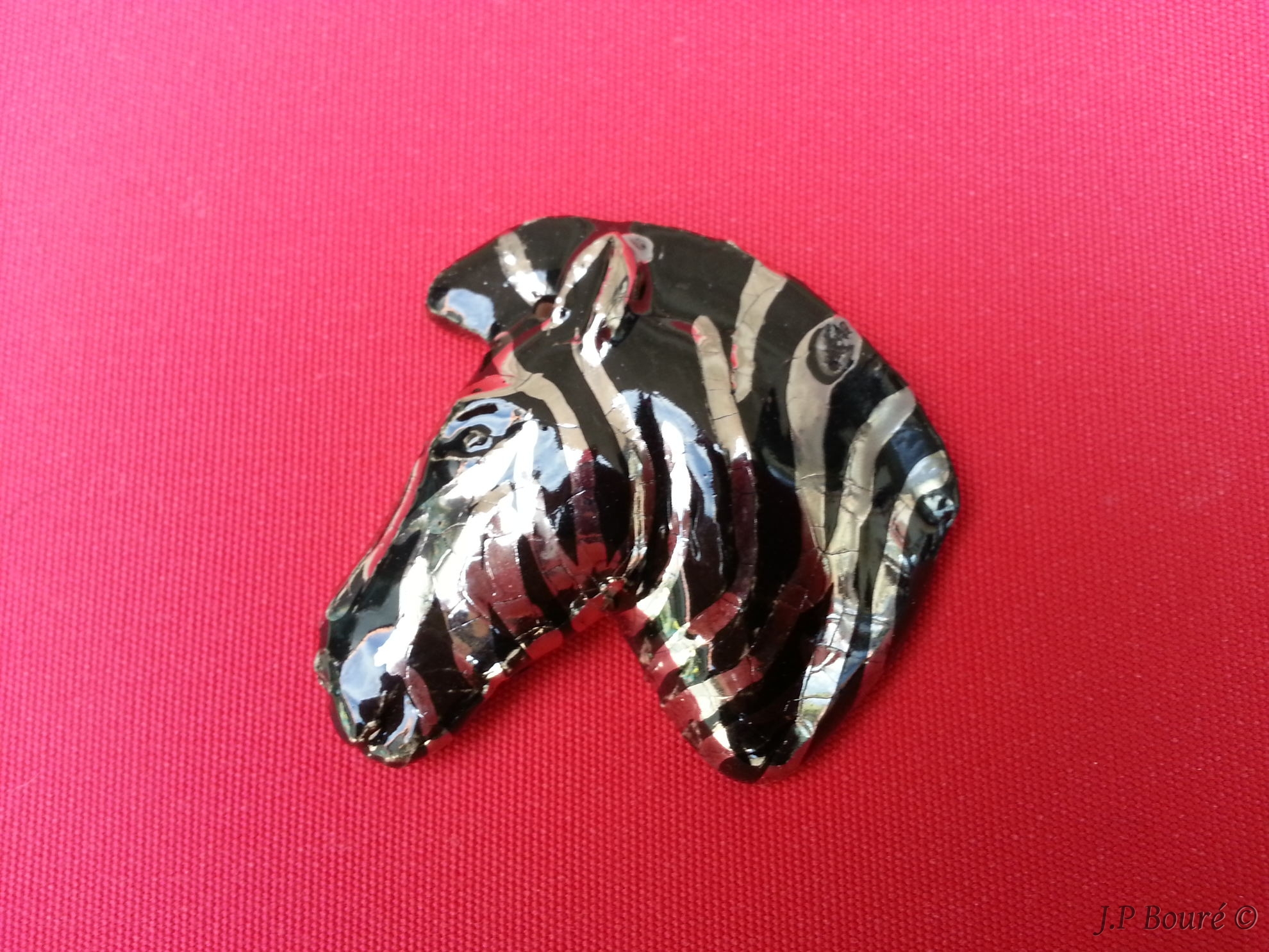 Image de couverture (Zèbre)