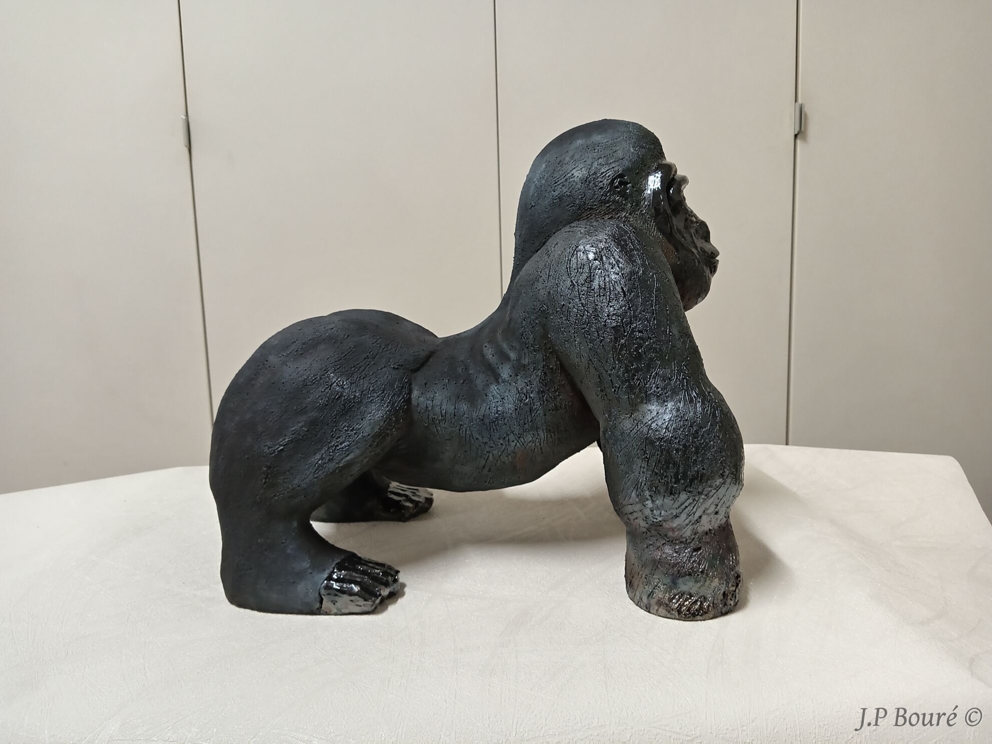 Image de couverture (Gorille)