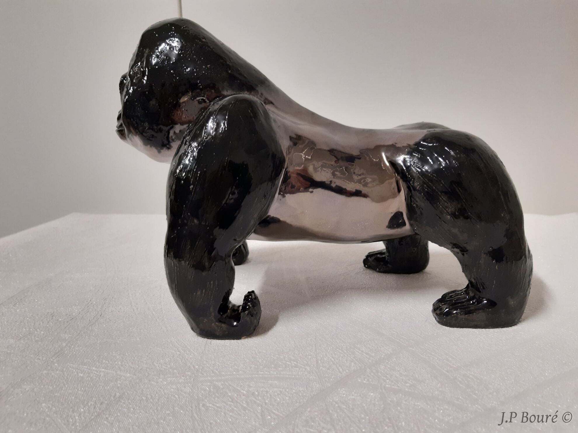 Image de couverture (Gorille de Samuel)