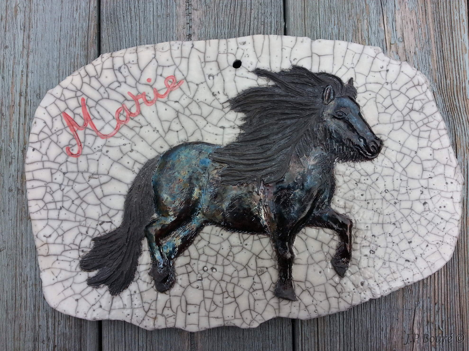 Image de couverture (Chevaux de Jean Pierre)