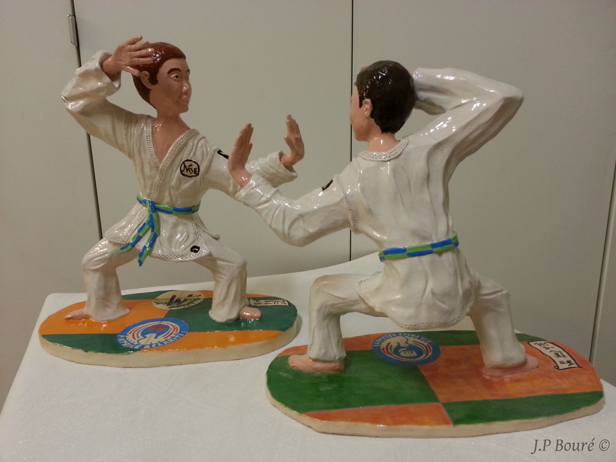 Image de couverture (Karaté : combat)