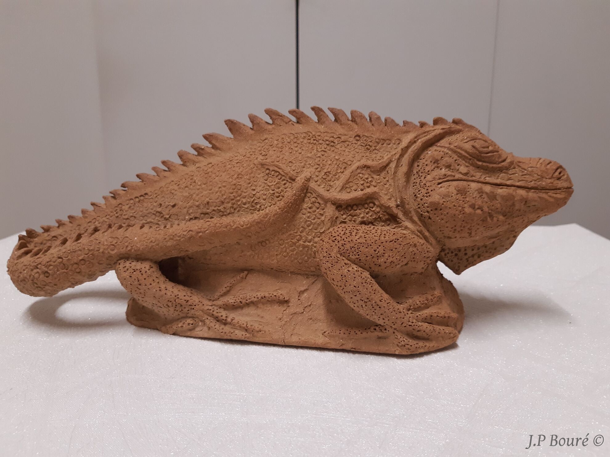 Image de couverture (Iguane)