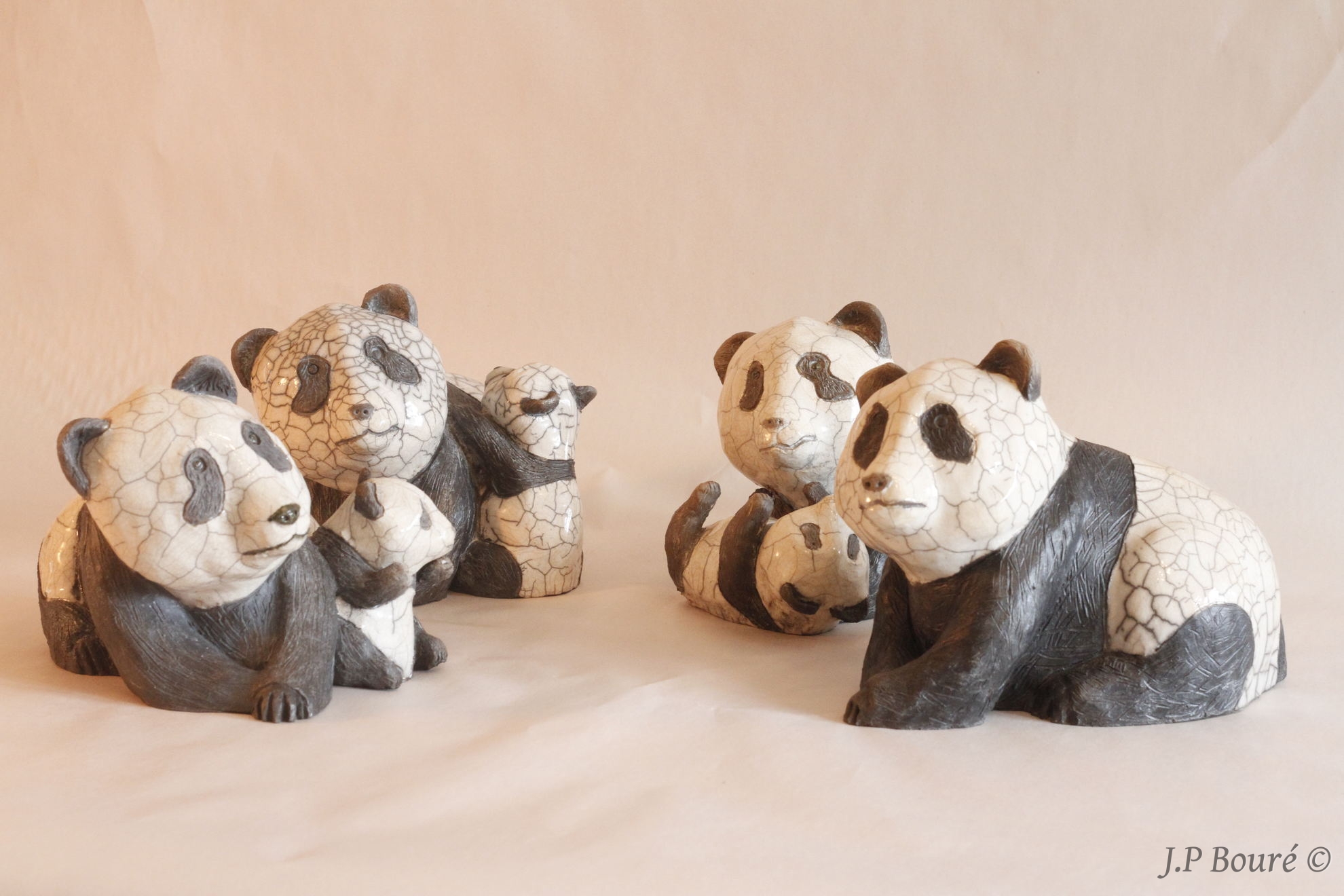 Image de couverture (Pandas)