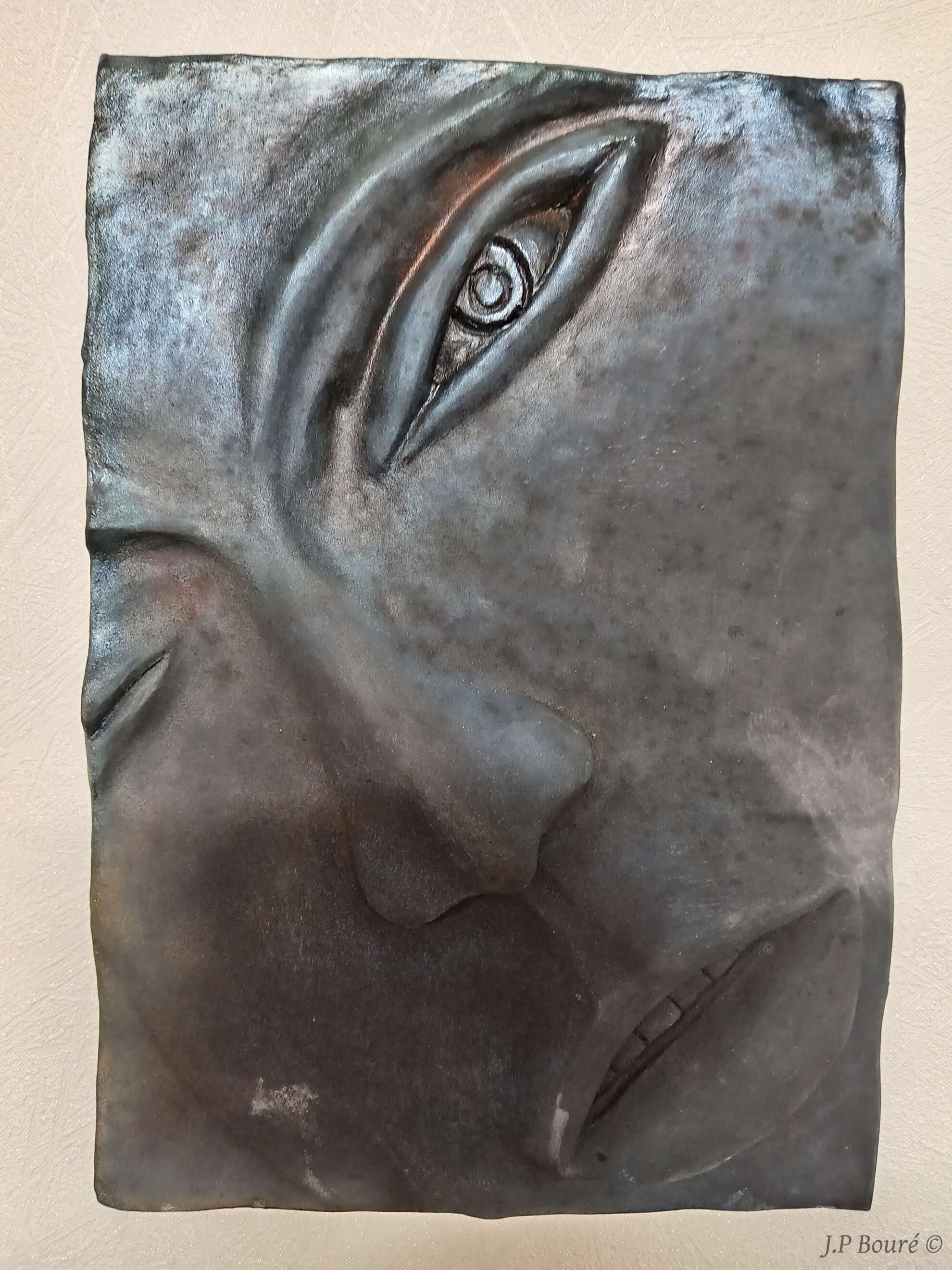 Image de couverture (Visage de face)