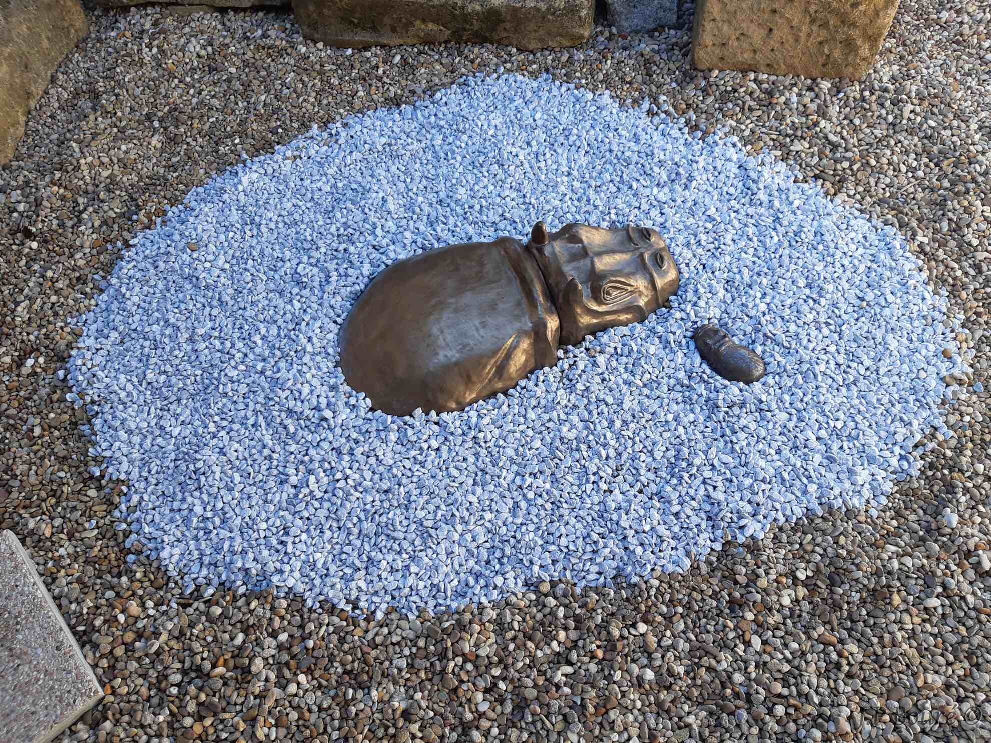 Image de couverture (Hippopotame)