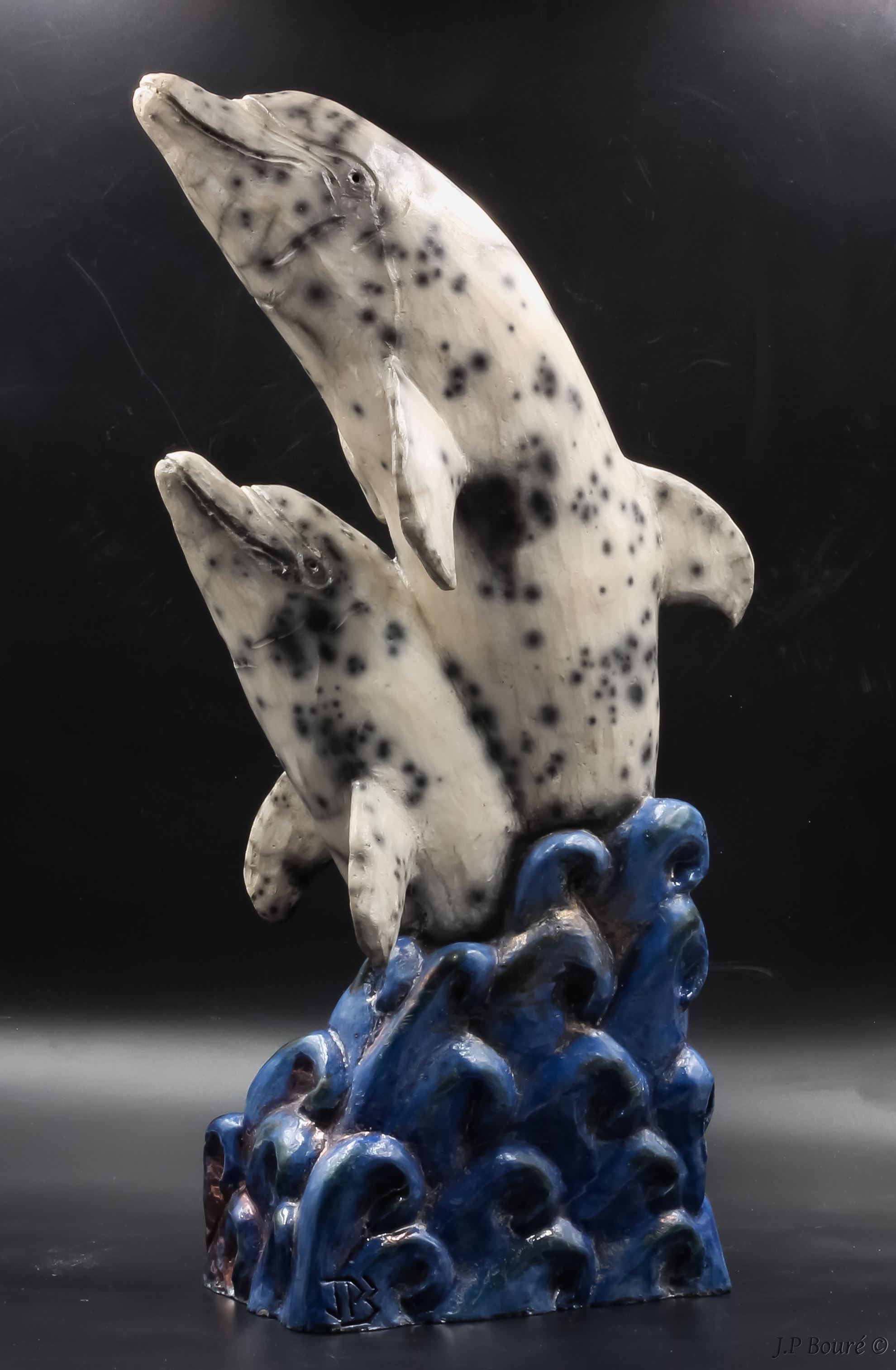 Image de couverture (Dauphins)