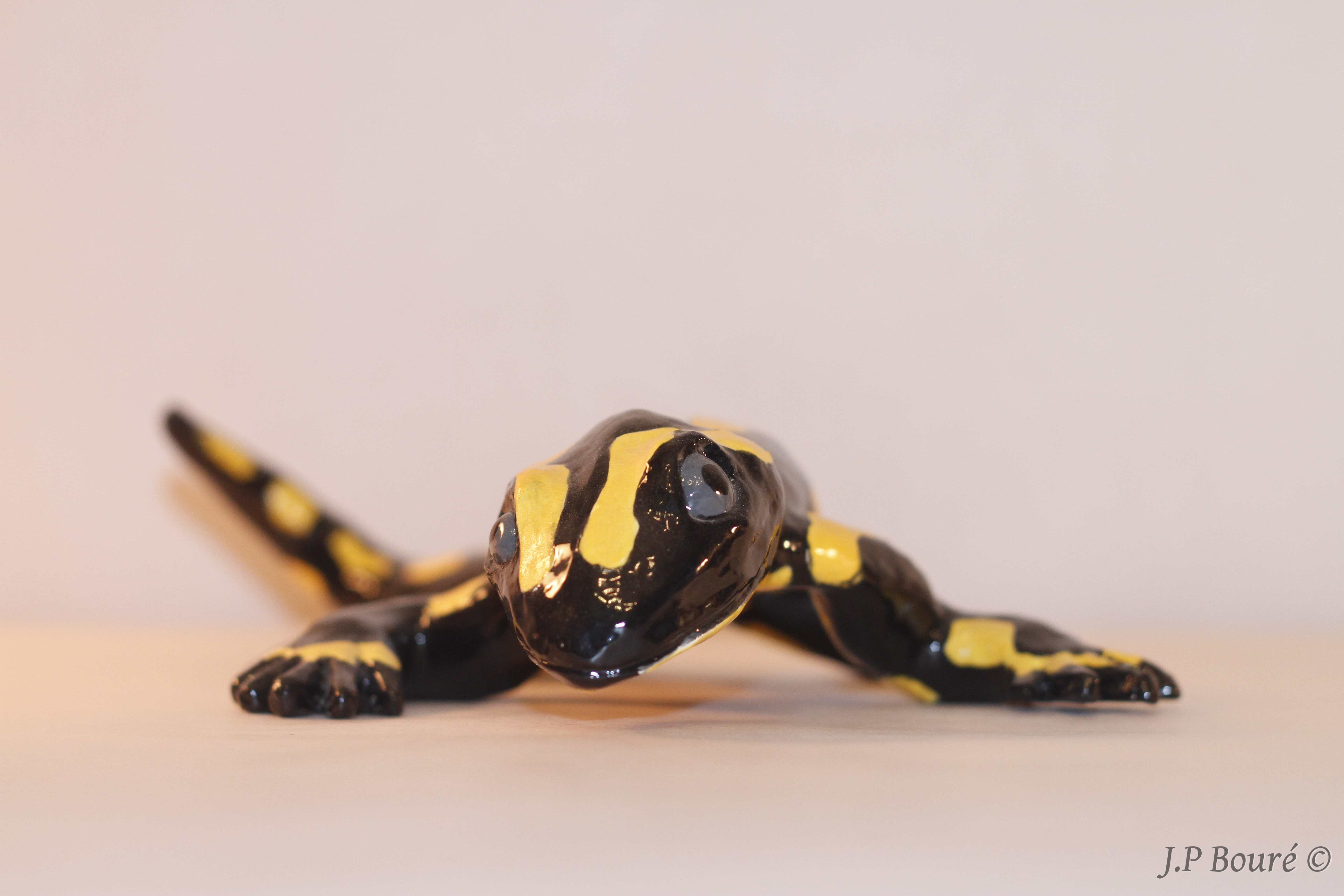 Image de couverture (Salamandre)