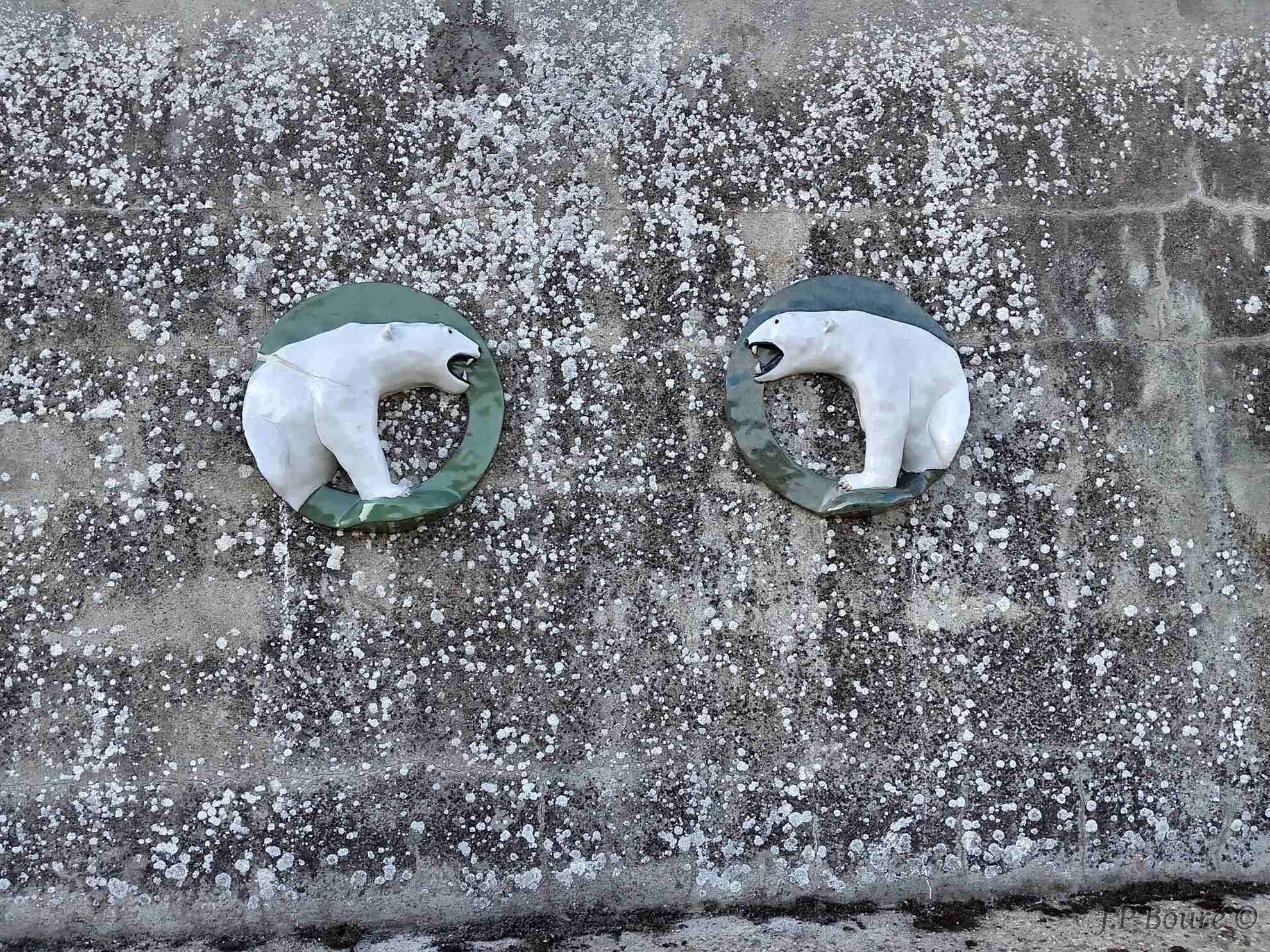 Image de couverture (Face à face polaire)