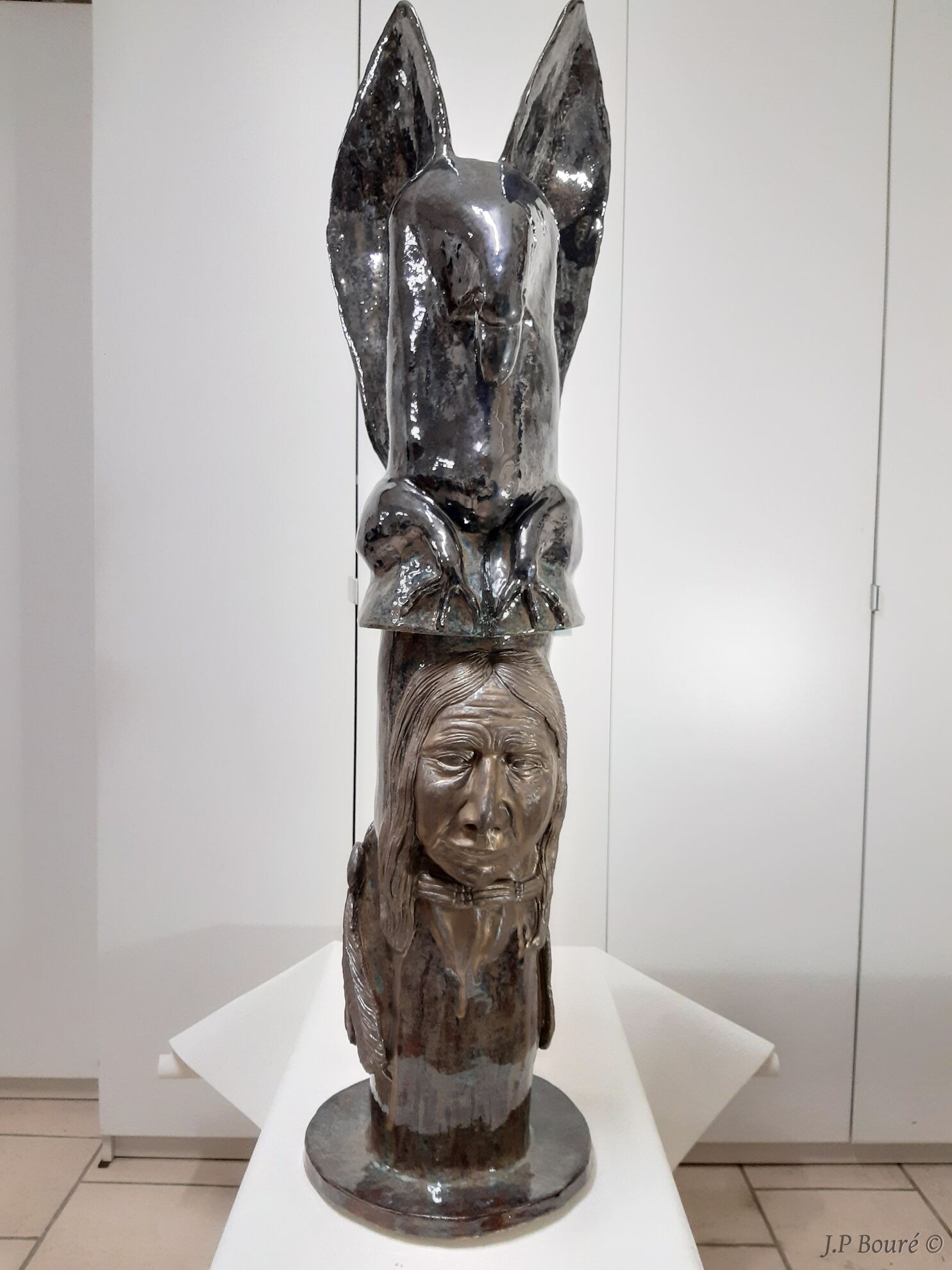 Image de couverture (Totem Geronimo V1)