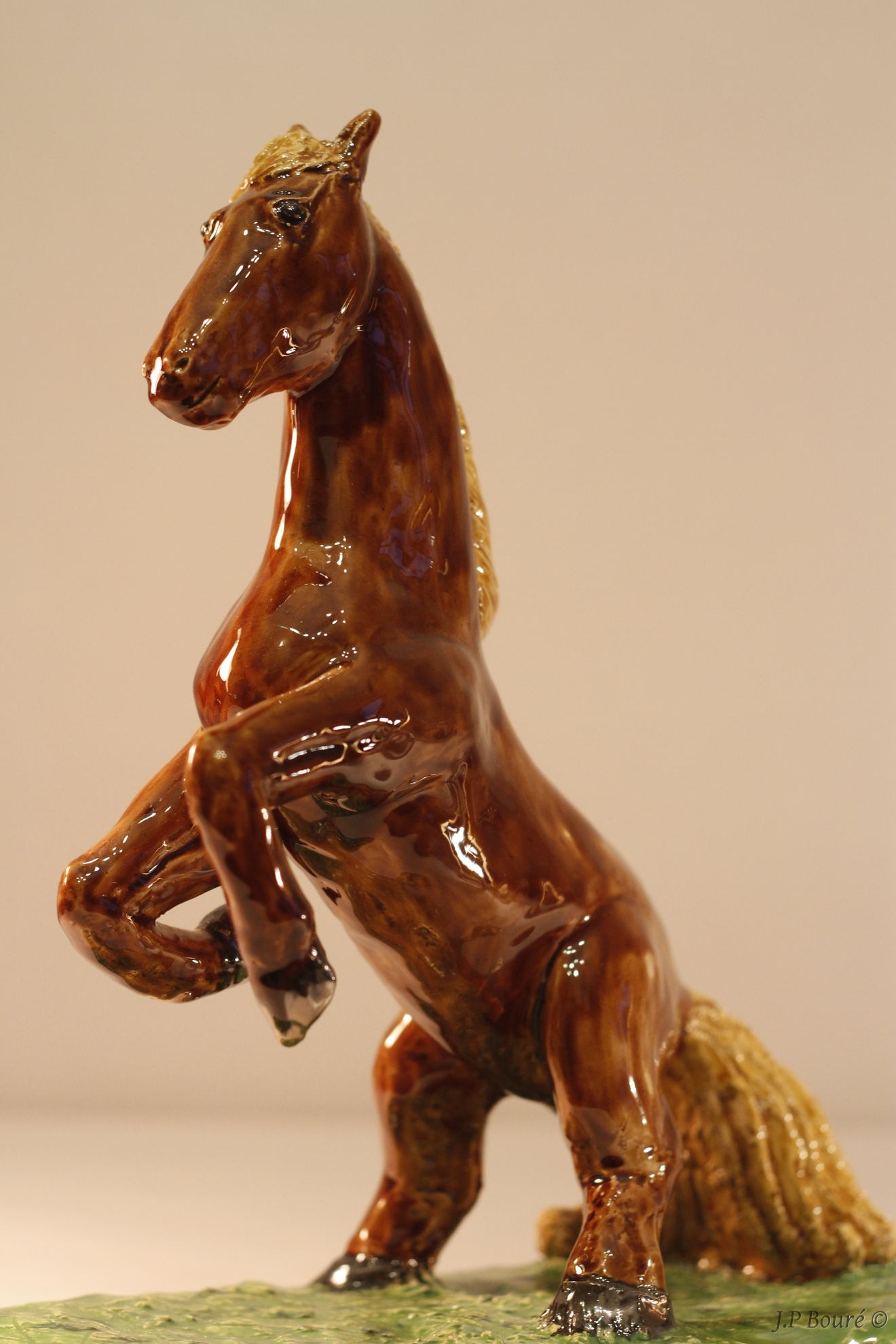 Image de couverture (Cheval cabré)