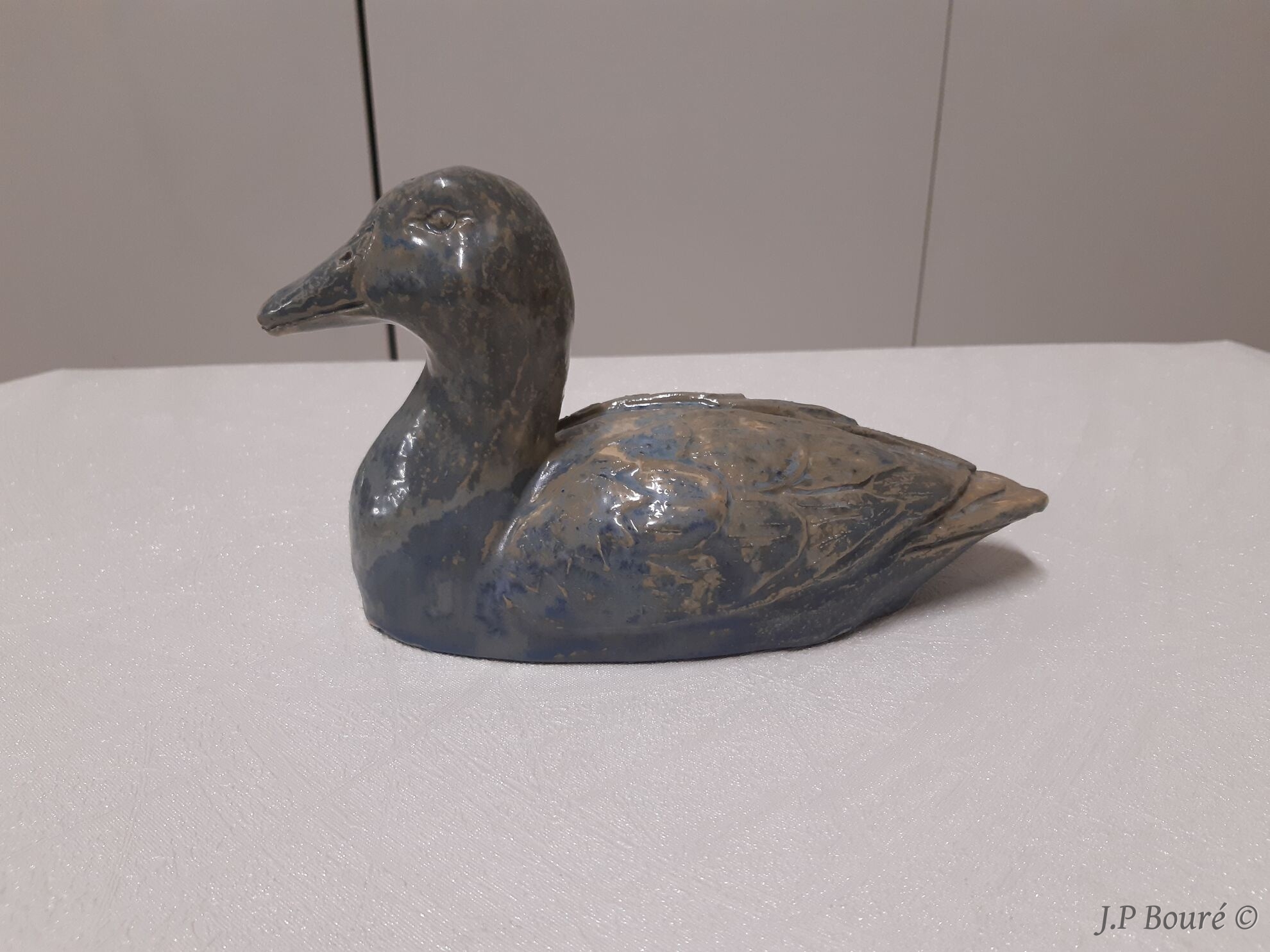 Image de couverture (Canard)