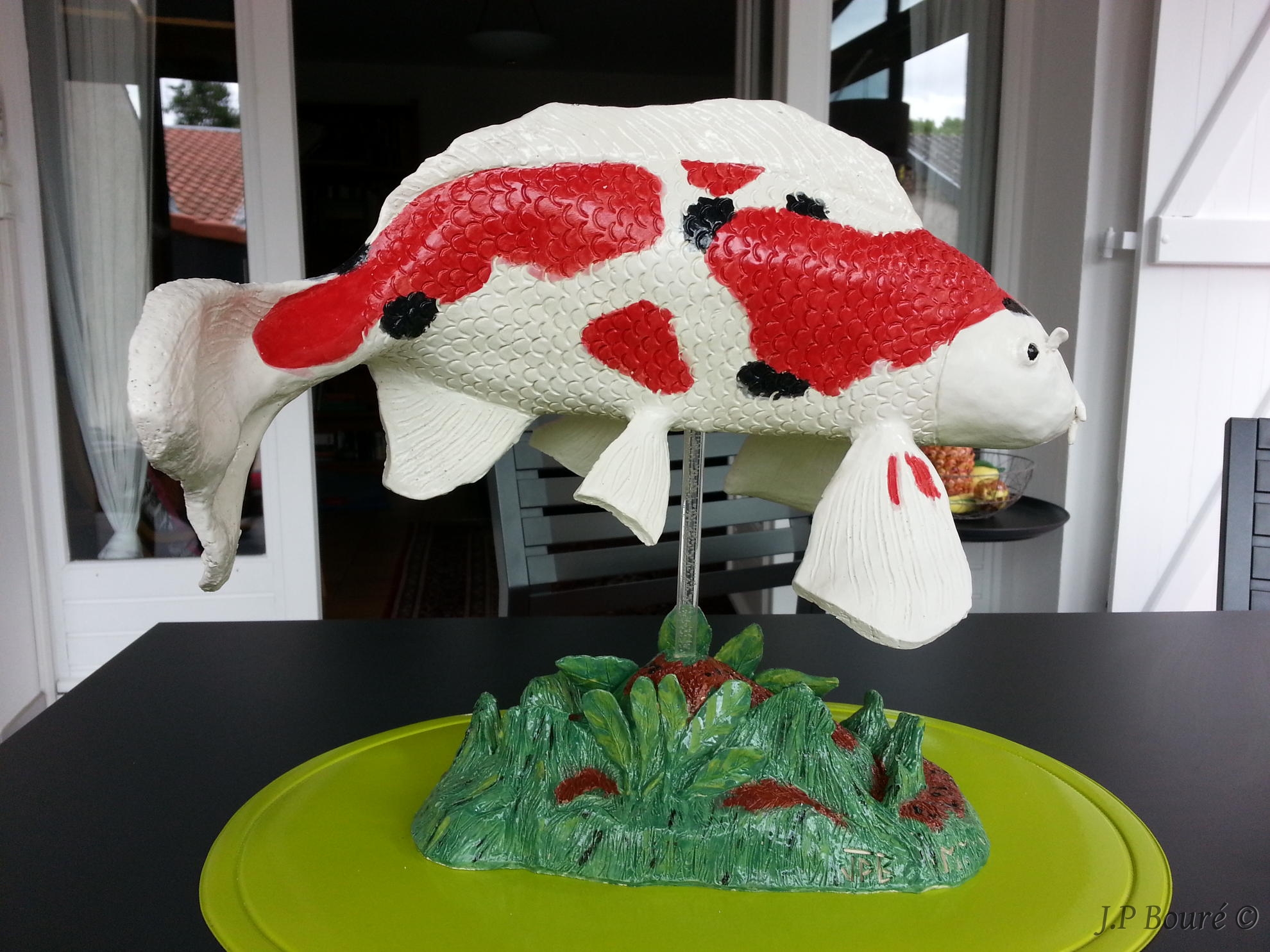 Image de couverture (Carpe Koï)