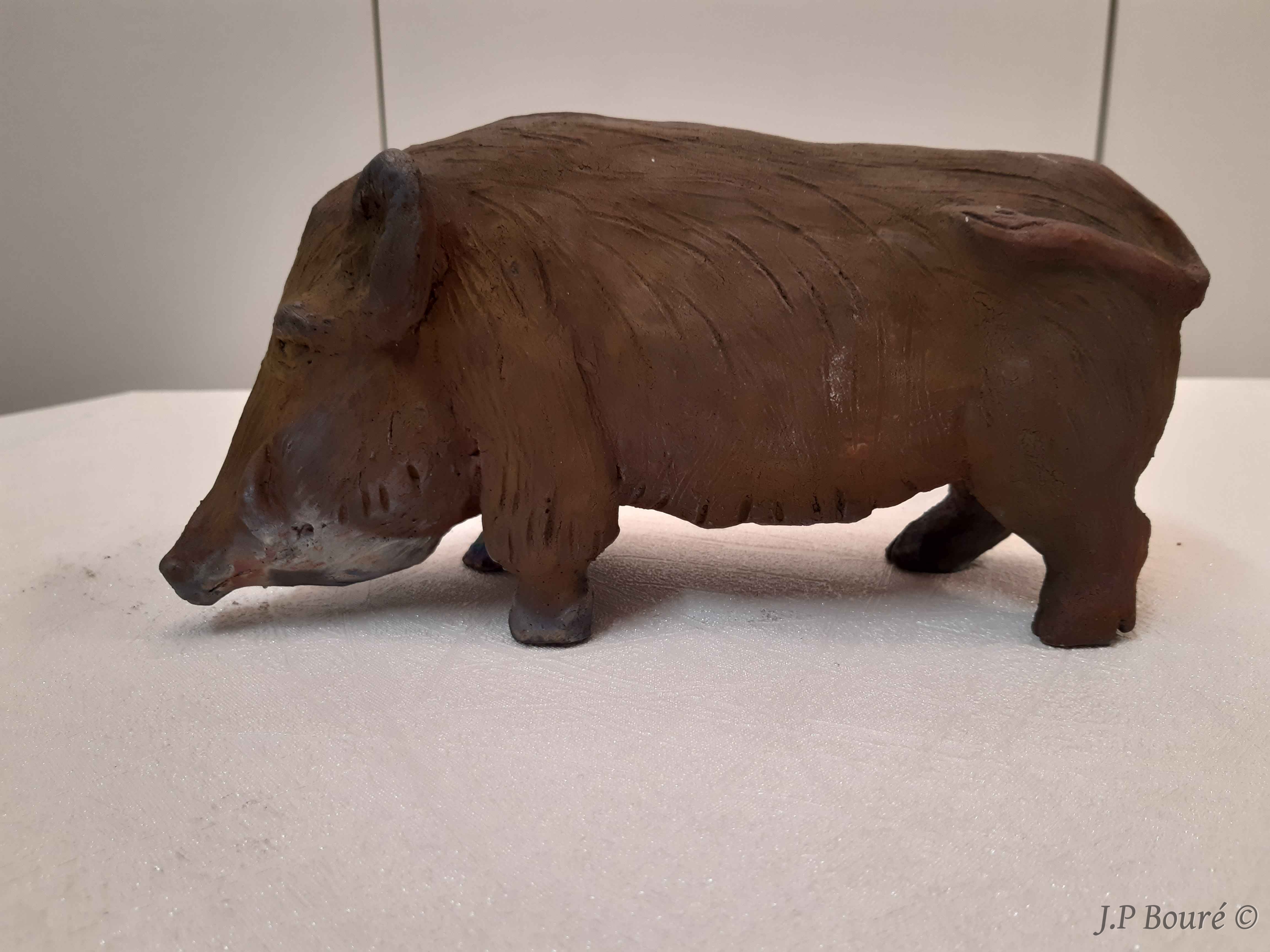 Image de couverture (Sanglier brun : mâle)