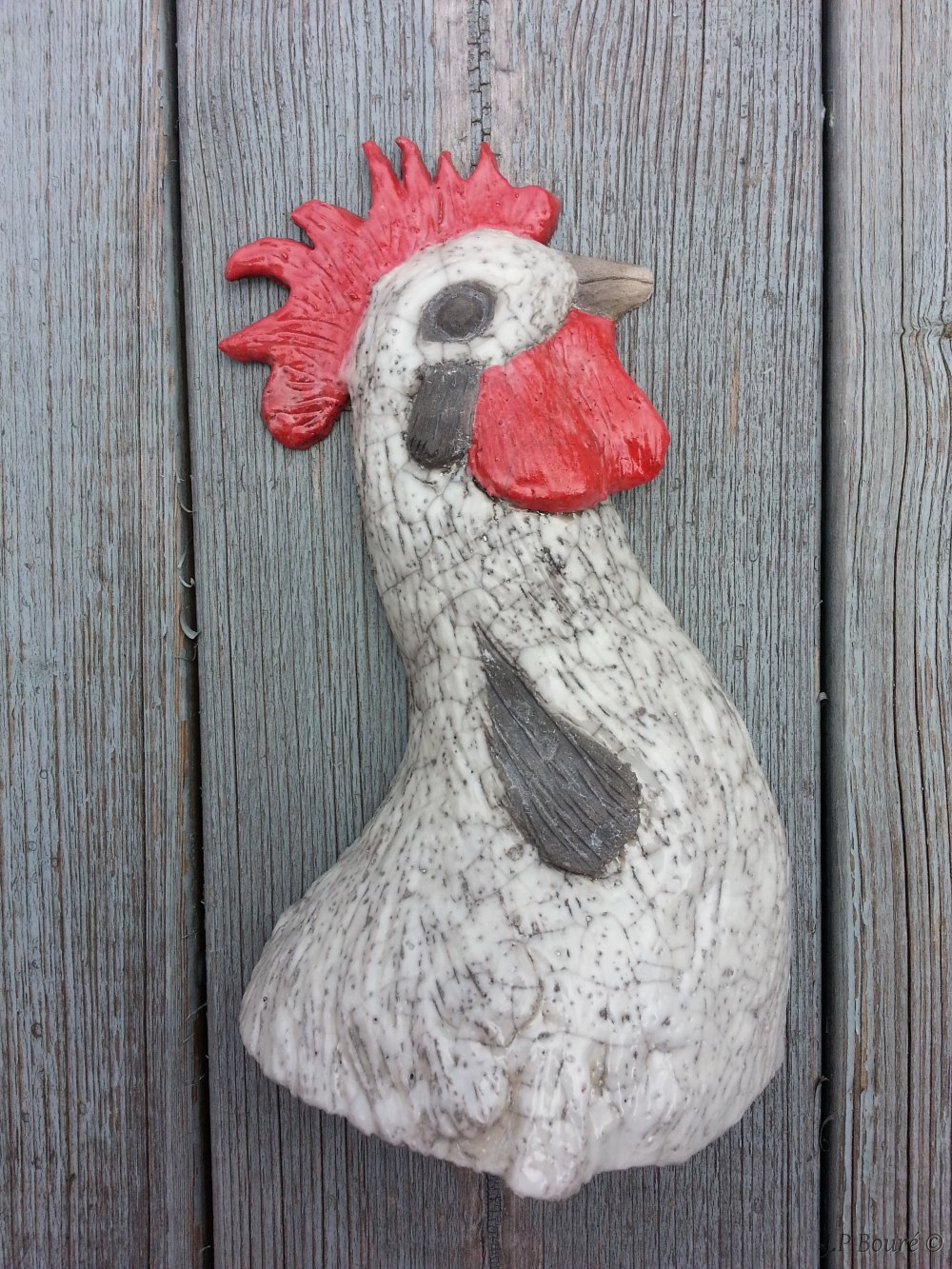 Image de couverture (Coq partiel)