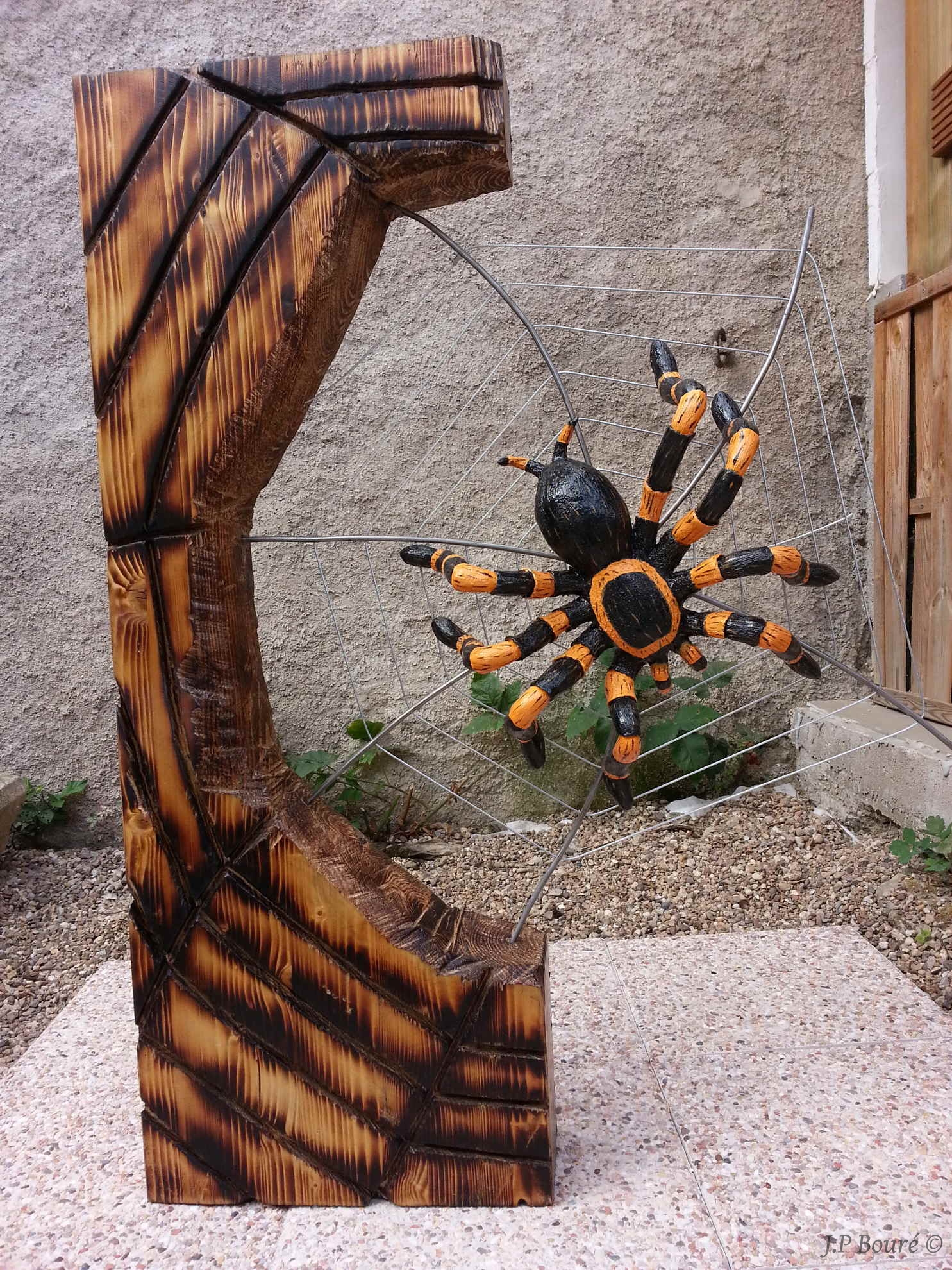 Image de couverture (Mygale)