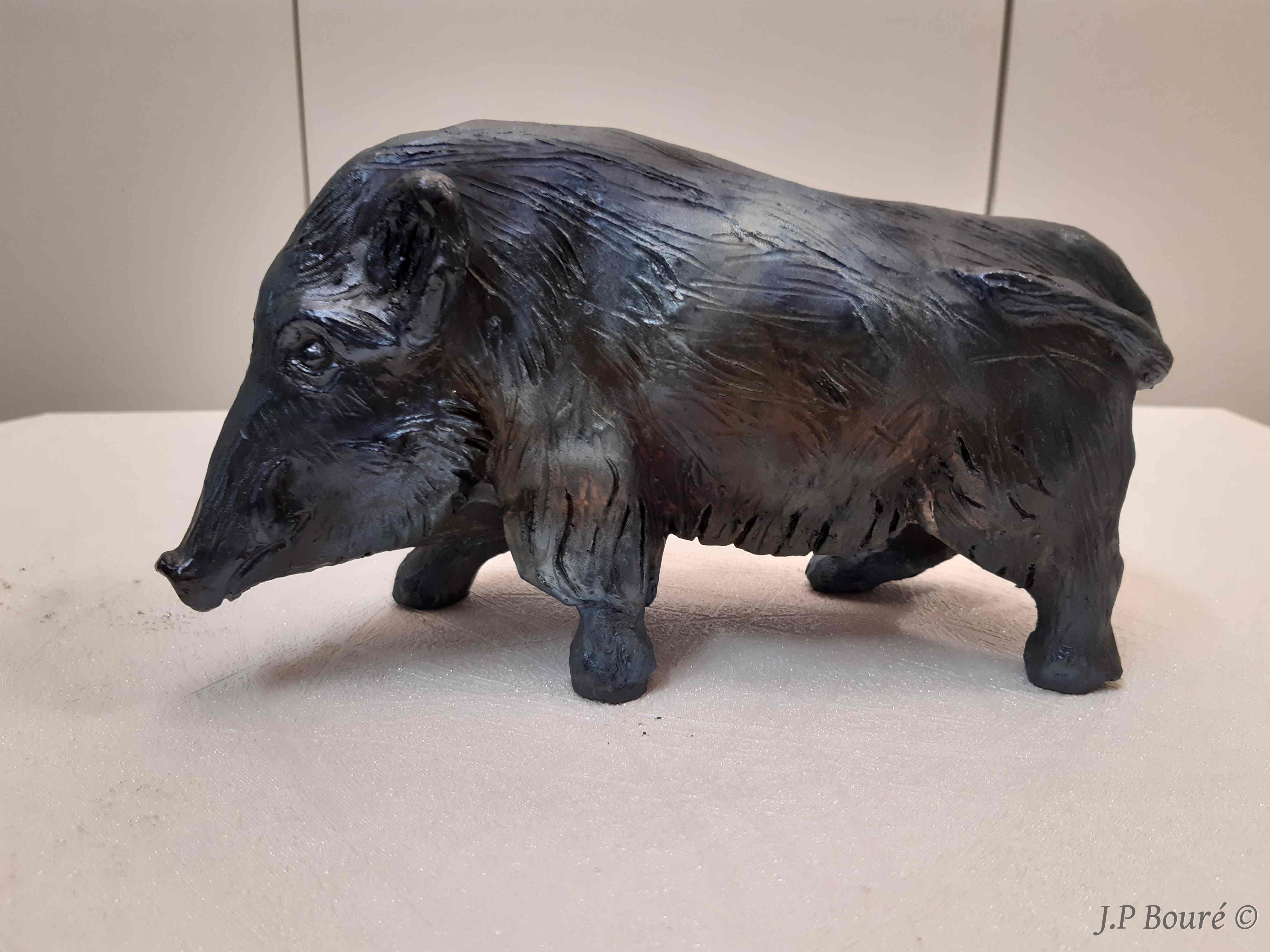 Image de couverture (Sanglier noir : mâle)