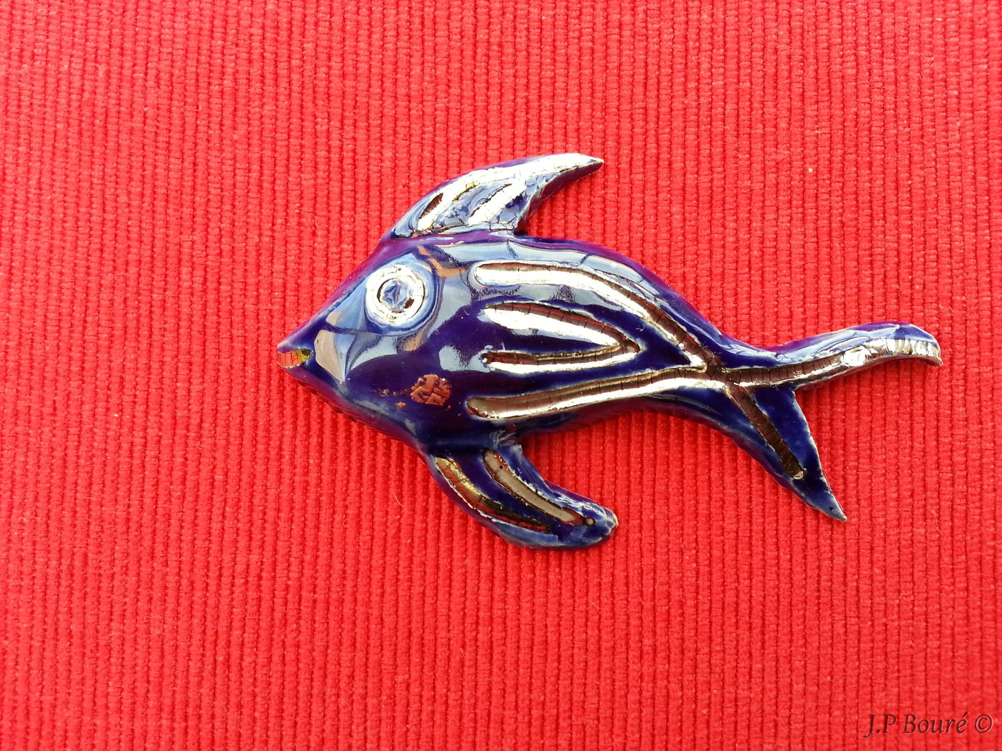 Image de couverture (Poisson broche)