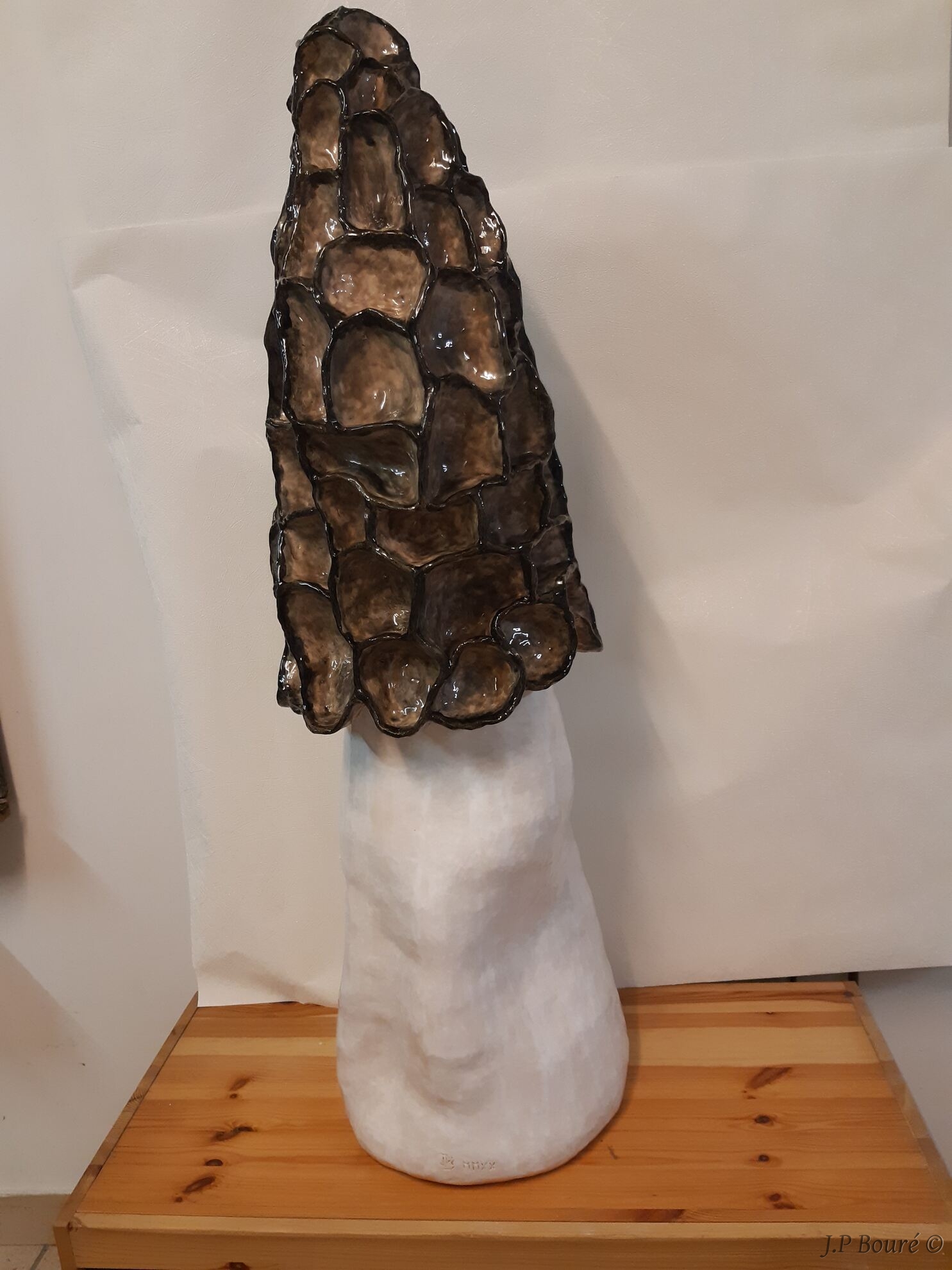 Image de couverture (Morille géante brune)