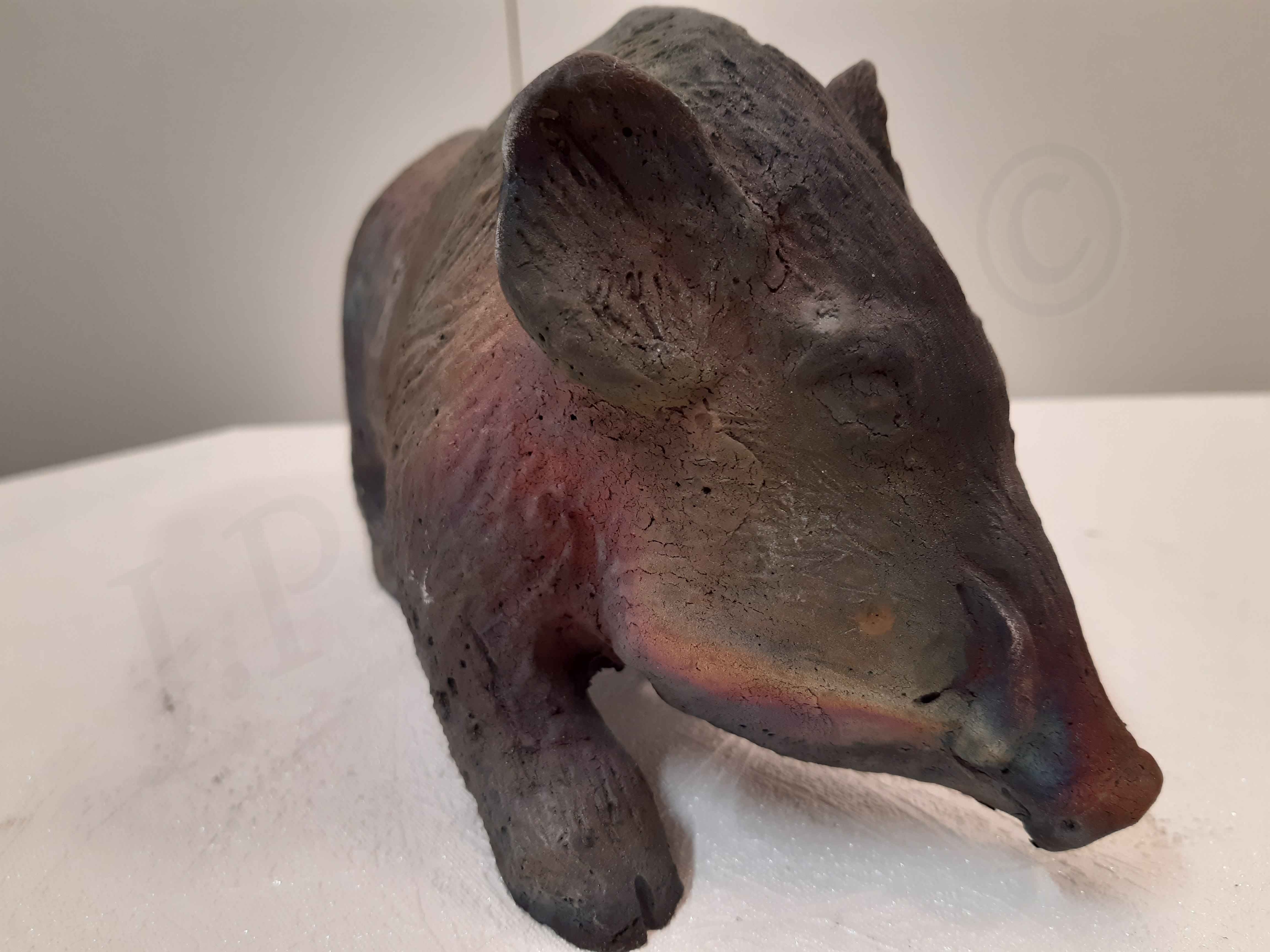 Image de couverture (Sanglier brun avec nuances)