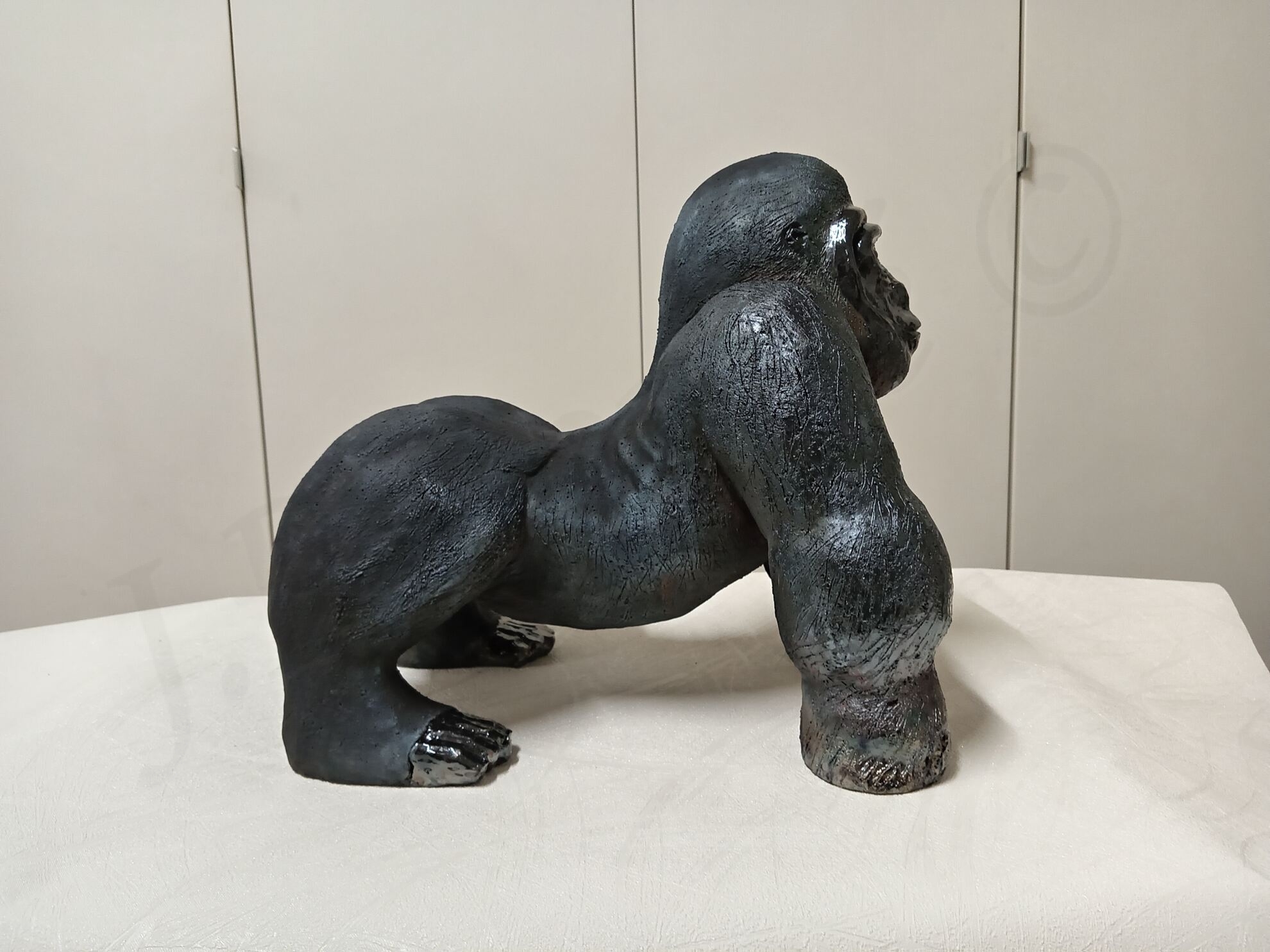 Image de couverture (Gorille)