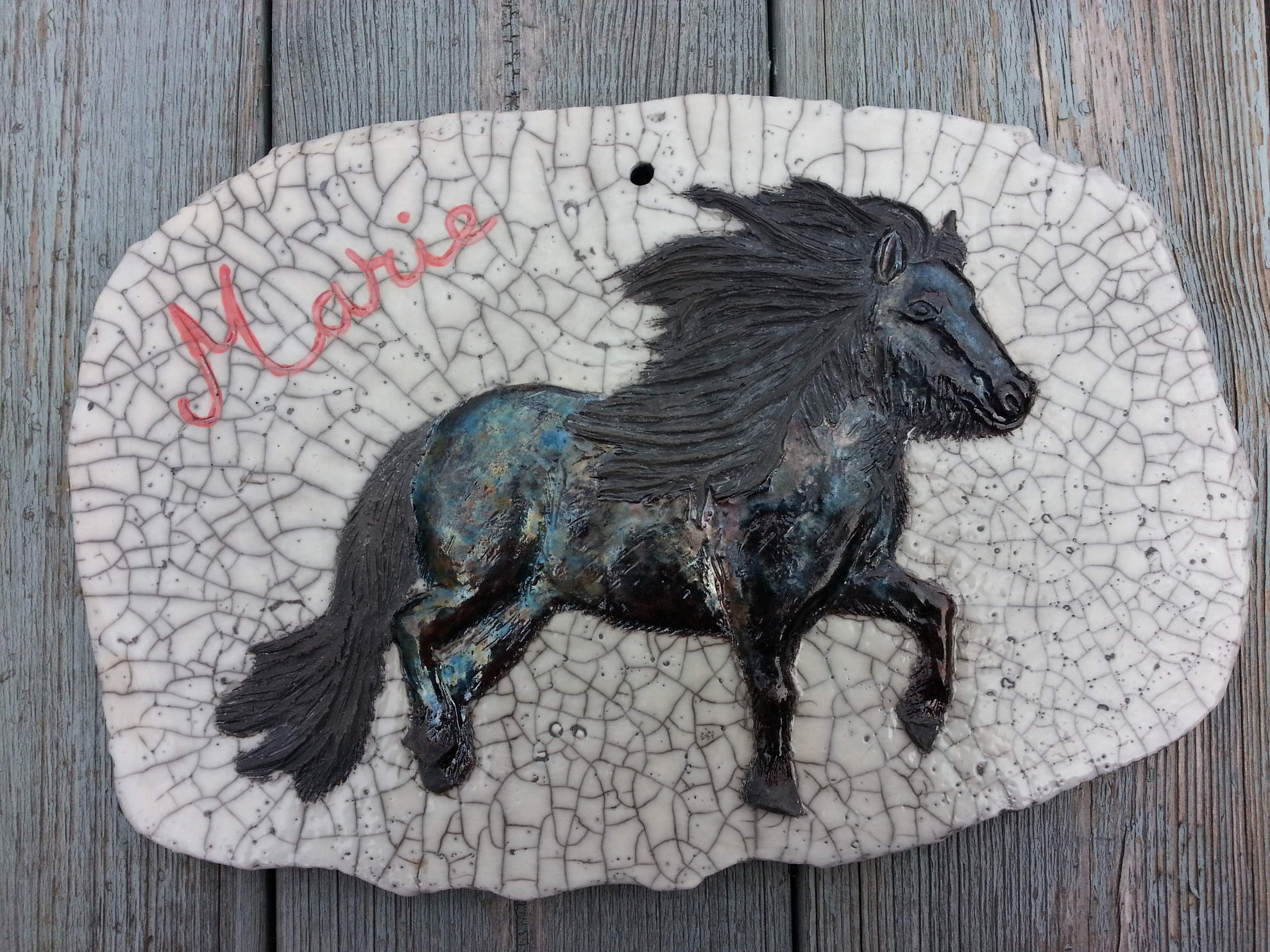 Image de couverture (Chevaux de Jean Pierre)