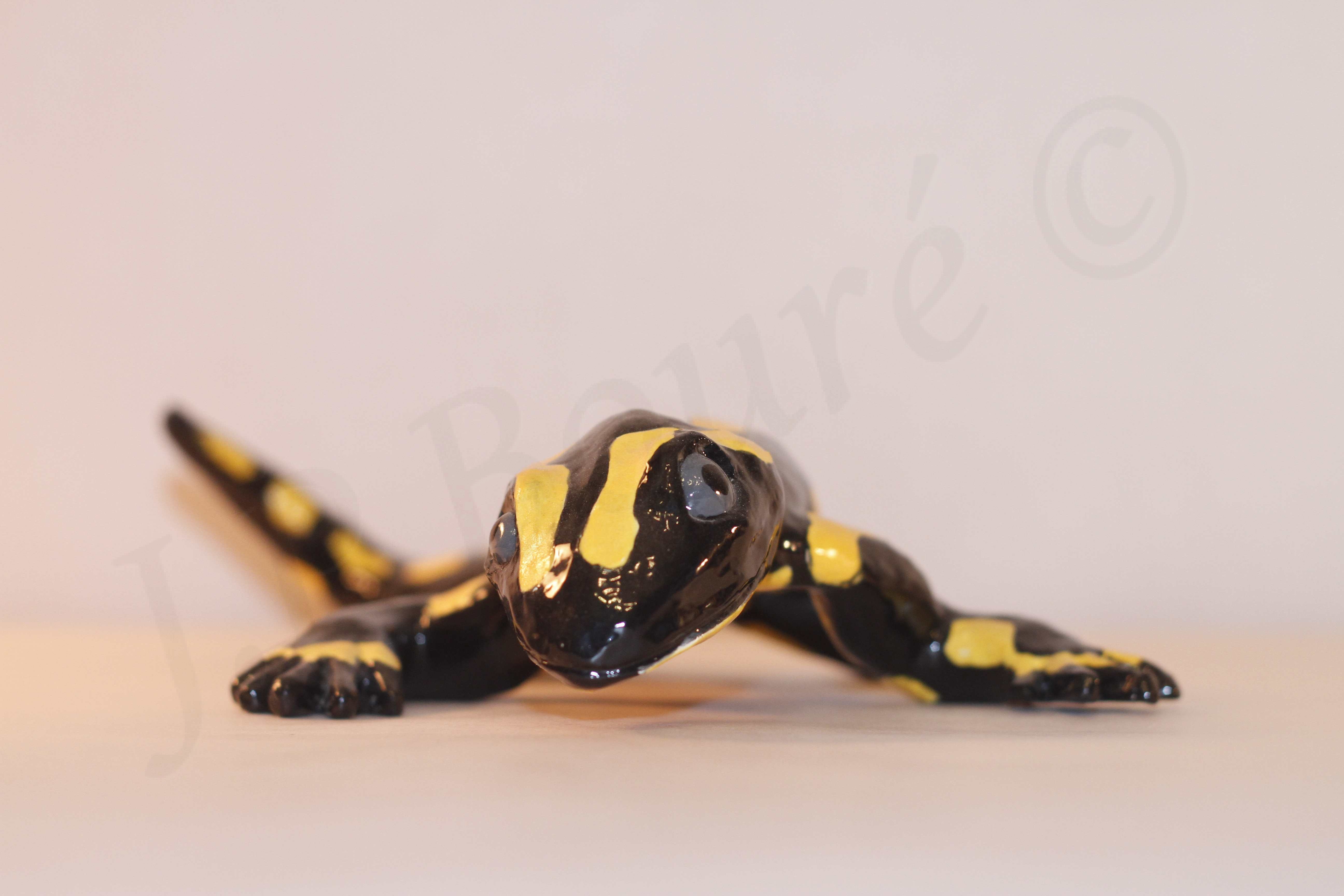 Image de couverture (Salamandre)