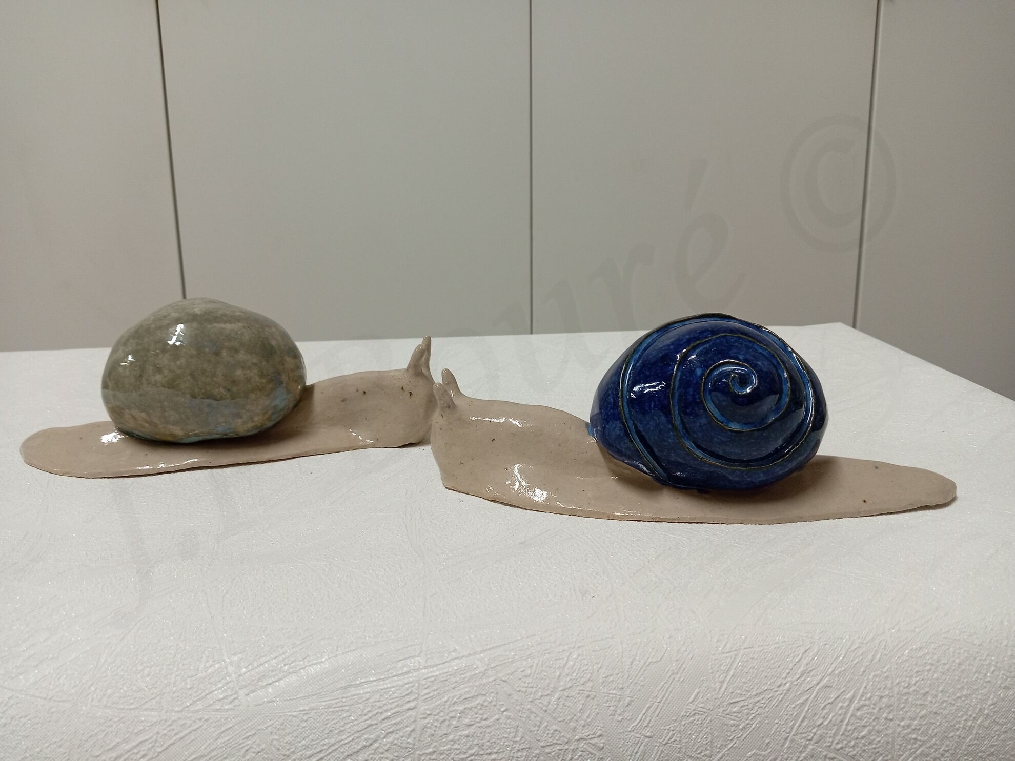 Image de couverture (Escargots vert et bleu)