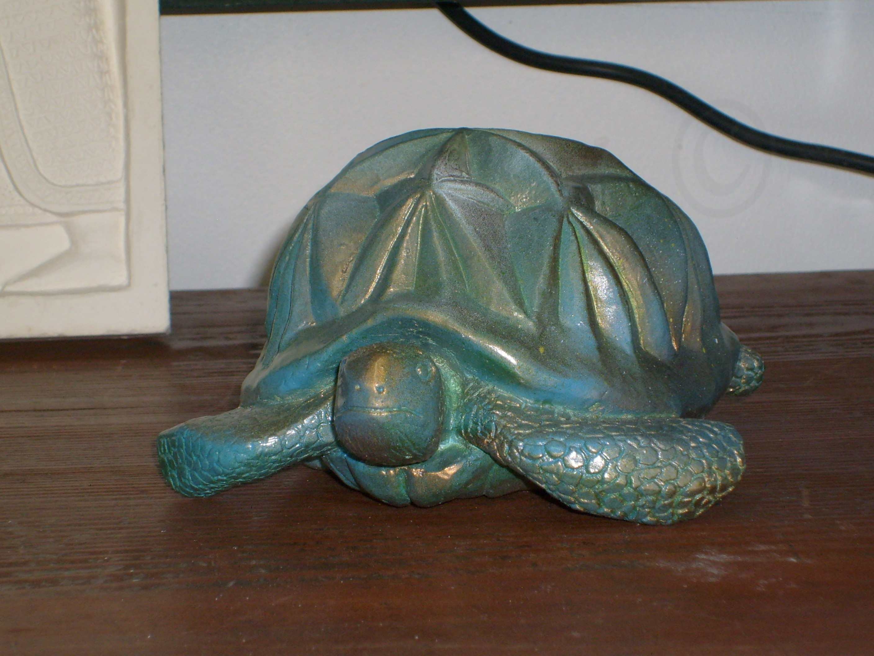 Image de couverture (Tortue)