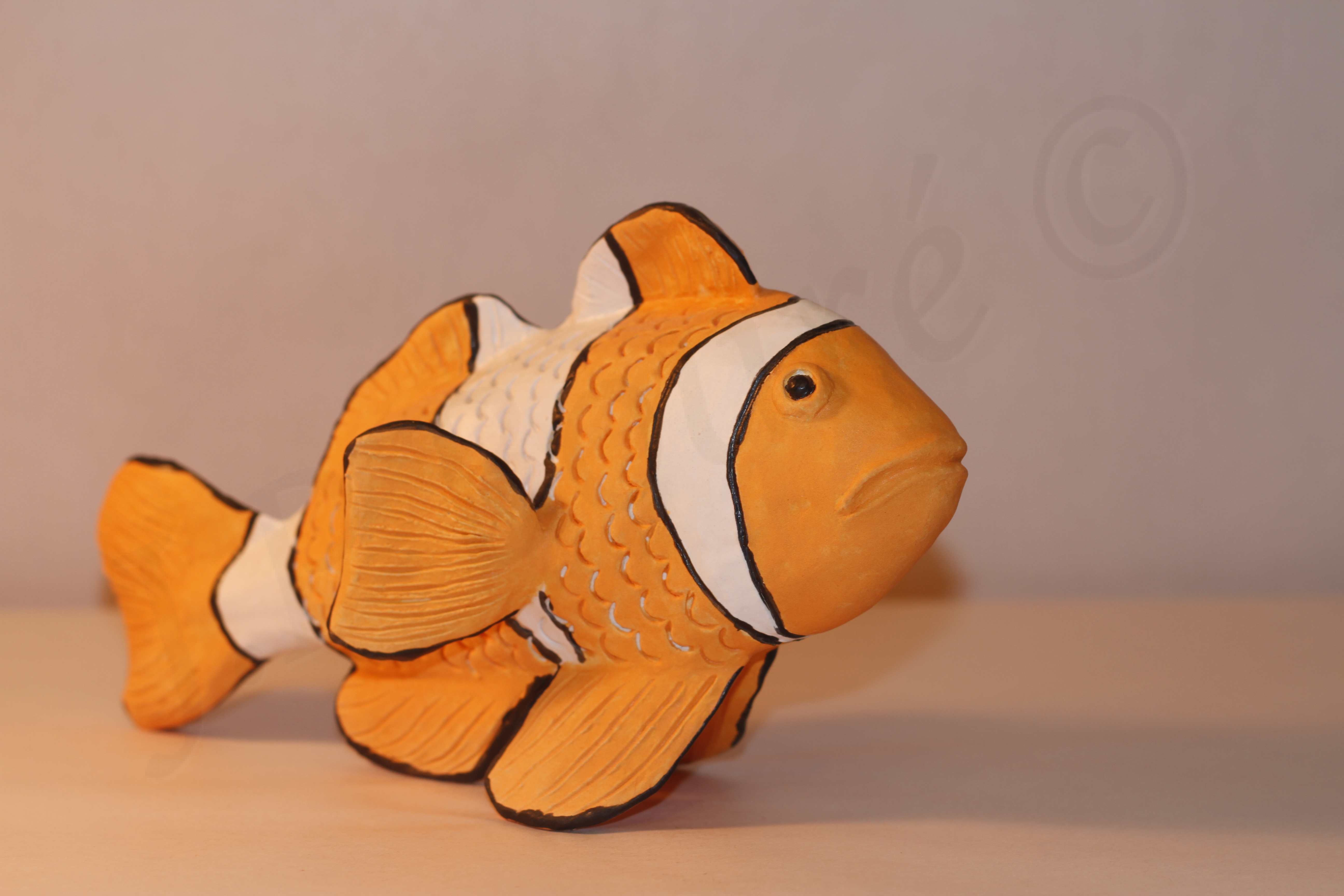 Image de couverture (Poisson clown)