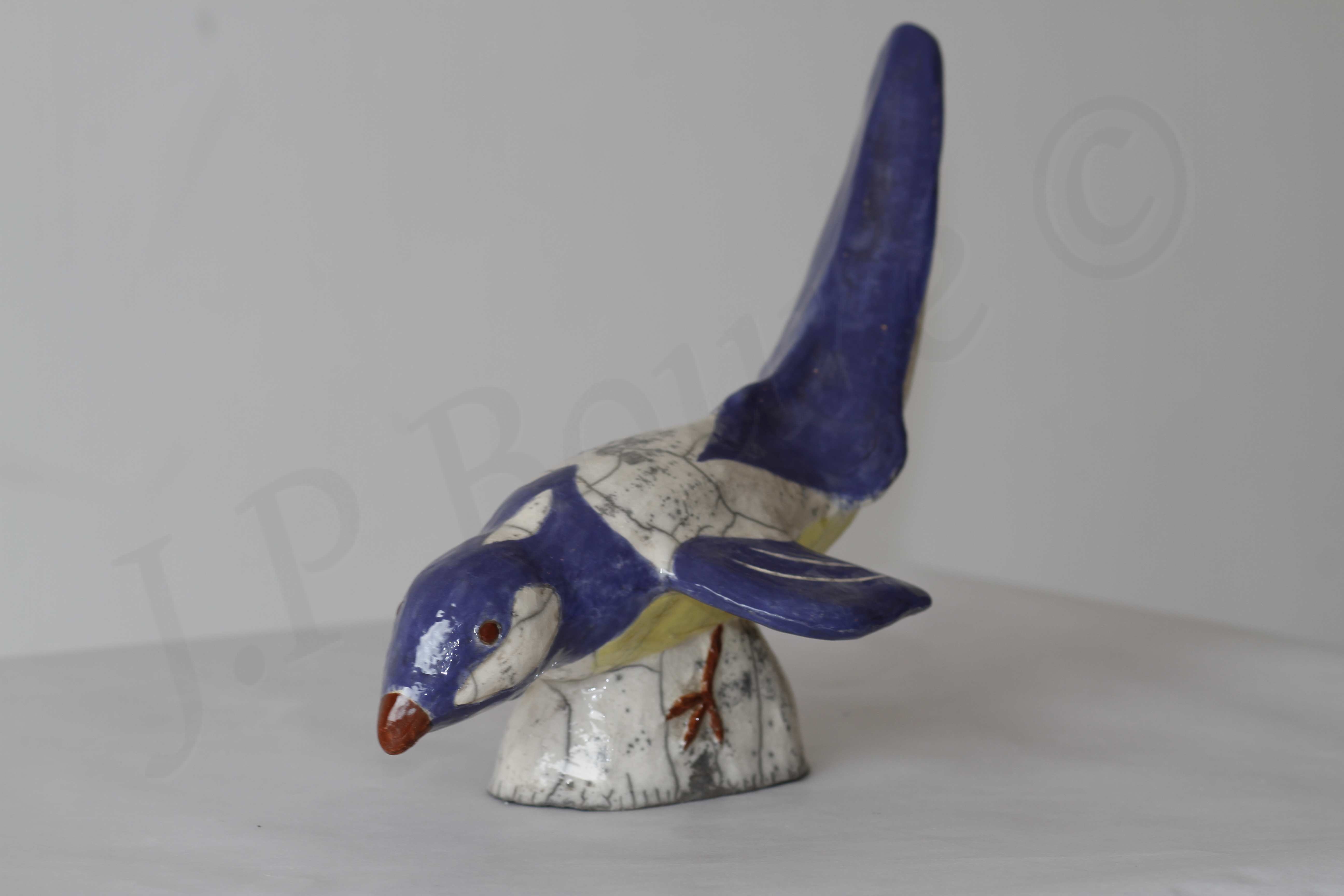 Image de couverture (Oiseaux)