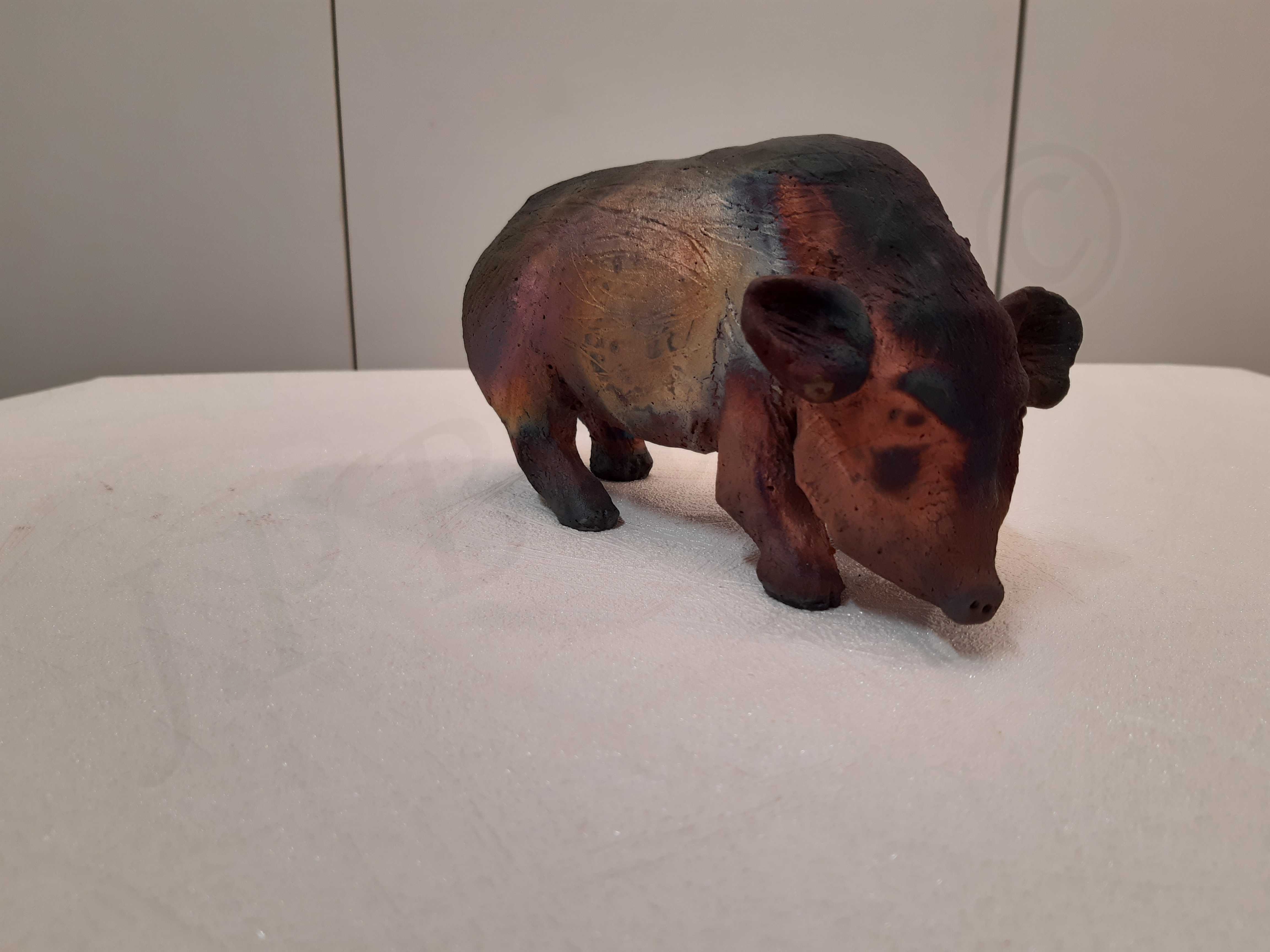 Image de couverture (Sanglier brun : laie)