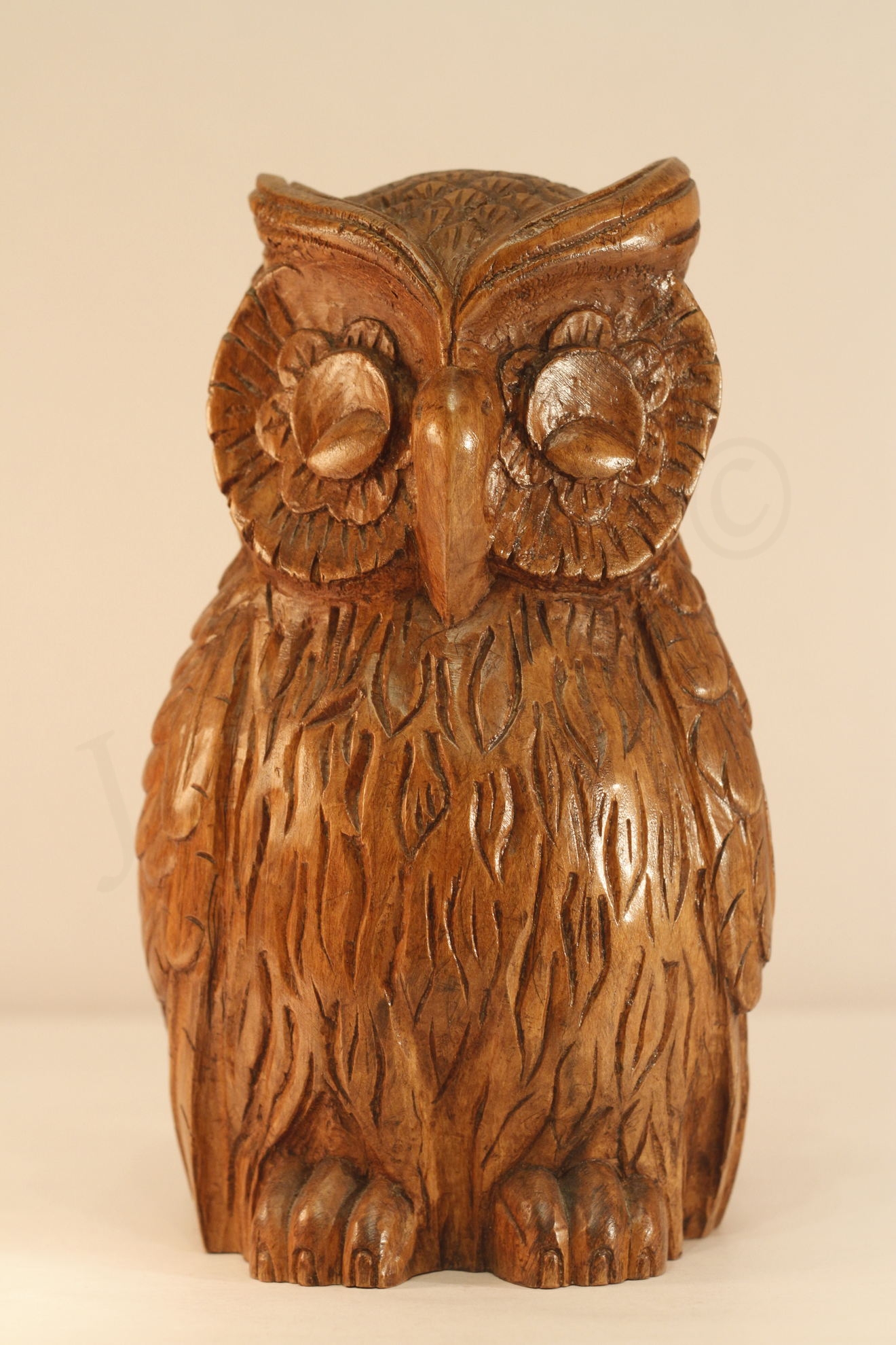 Image de couverture (Hibou)